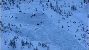 Avalanche in Piedmont, Italy, 12 January, 2025.