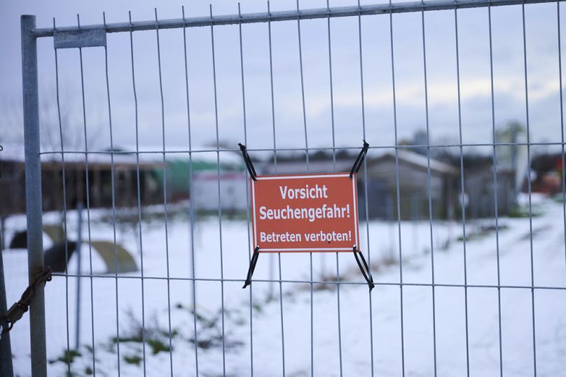 Un panneau indiquant « Attention, risque d'épidémie ! » affiché sur la clôture d'une ferme à Mehrow, en Allemagne, le 11 janvier 2025