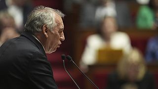 After tense negotiations, François Bayrou managed to strike a budget deal between different parties 