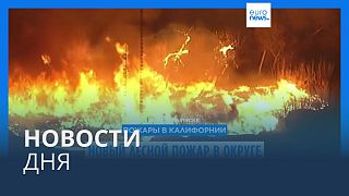 Новости дня | 14 января — вечерний выпуск