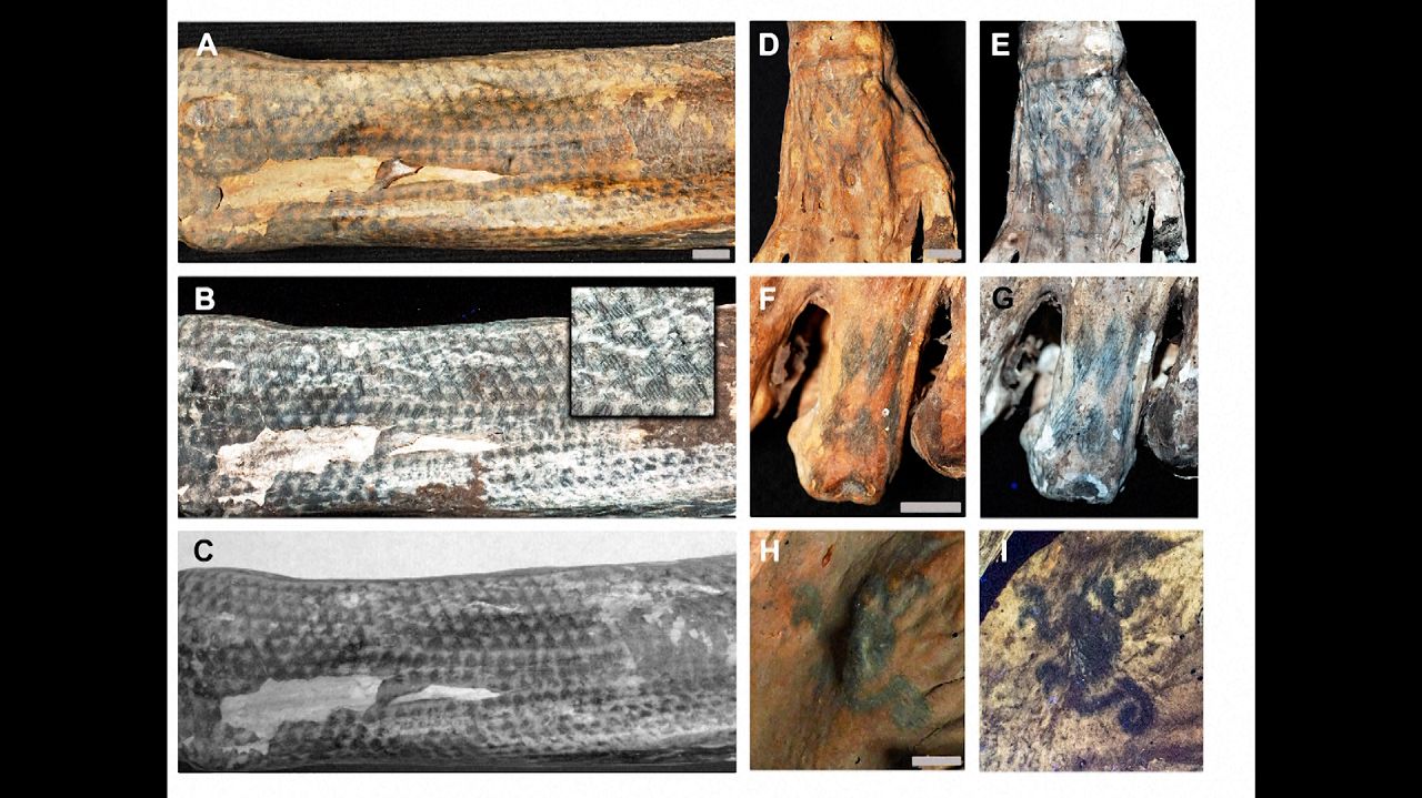 Grid showing tattoos on mummified remains in visible light and under laser-stimulated fluorescence