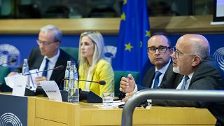 Current EDPS Wojciech Wiewiórowski during a hearing in the EU Parliament.