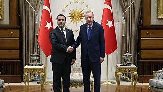 Erdoğan ve Şeybani