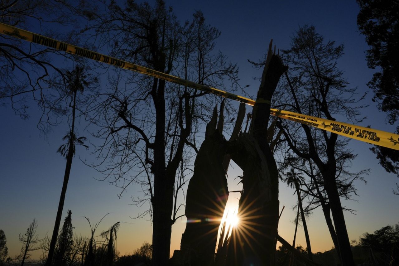 Caution tape cordons off townhomes and trees burned by the Eaton Fire on Jan. 13, 2025, in Altadena, Calif. 