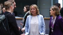 Steffi LEMKE (Federal Minister for the Environment, Nature Conservation, Nuclear Safety and Consumer Protection, Germany) at an EU Council summit in March 2024