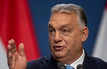 US sanctions on Orbán ally have 'strengthened' him, Hungary's PM says