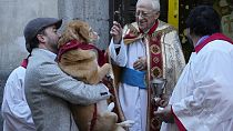 Father Angel anoints a dog during the feast of Saint Anthony