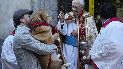 Father Angel anoints a dog during the feast of Saint Anthony