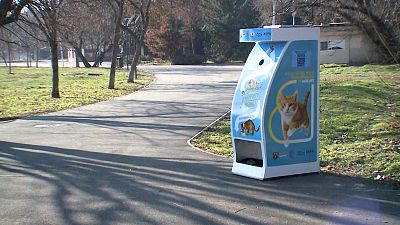 Vending machine for homeless cats in Bucharest