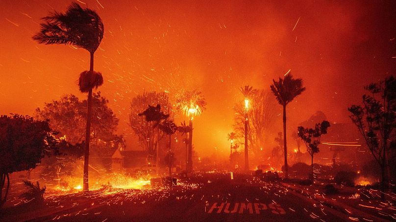 The Palisades Fire ravages a neighbourhood amid high winds in the Pacific Palisades neighbourhood of Los Angeles, 7 January 2025.