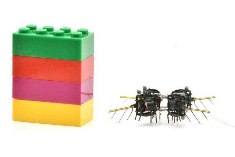 Robot böcek bir lego parçasından daha ufak