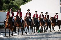 Portugal's dancing horses recognised by UNESCO