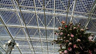 Il Vaticano ha contribuito alla rivoluzione delle rinnovabili lo scorso anno, con una nuova copertura fotovoltaica in vetro all'ingresso dei Musei Vaticani, nella foto 20 dicembre 2024. 