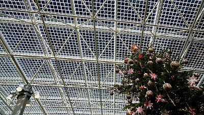 The Vatican aided the renewables revolution last year, with a new photovoltaic glass roof at the entrance to the Vatican Museums, pictured 20 December 2024. 
