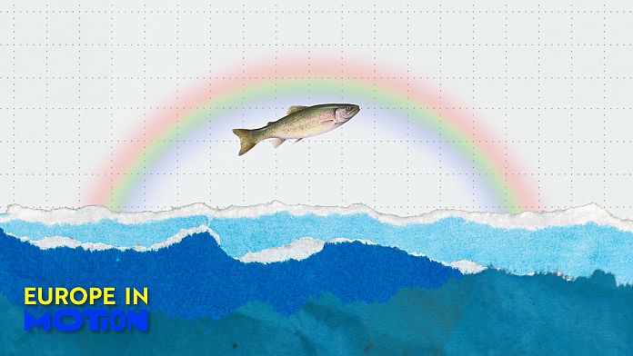 Allevamenti ittici biologici: quali Paesi dell'Ue sono all'avanguardia