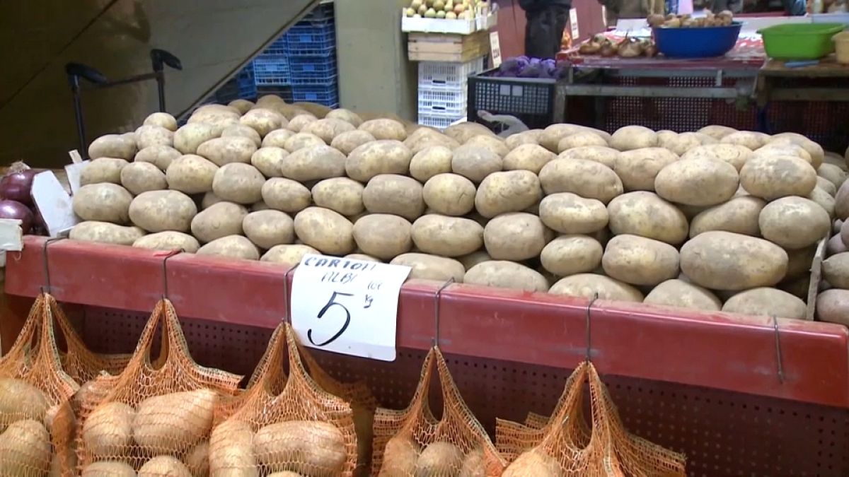 Romanian farmers give up on growing potatoes as costs surge