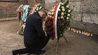Polish President Andrzej Duda, commemorates the 80th anniversary of Auschwitz's liberation