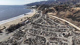 32 researchers from around the world looked at what caused LA’s worst ever wildfires. 