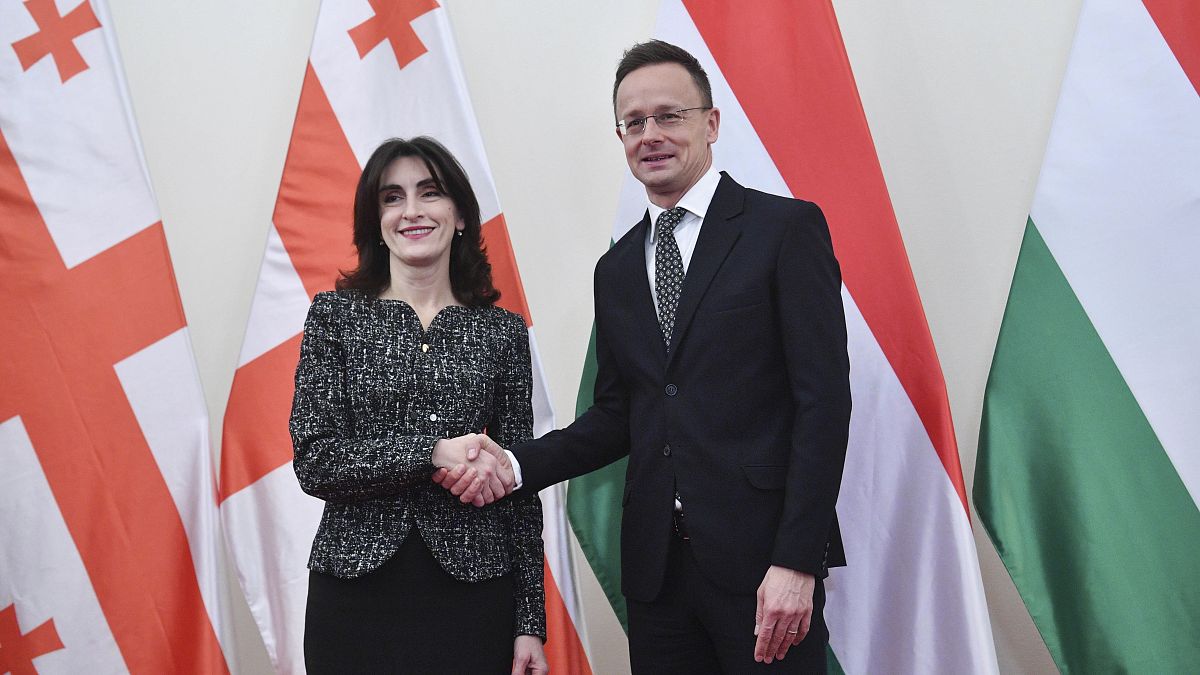 Grúz külügyminiszter: "Politikailag helytelen", hogy az EU felmondta a vízummentességi szerződést