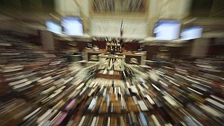 The joint parliamentary committee is tasked in finding a compromise for the country's 2025 budget plan