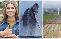 Positive stories this January include new climate sign language, whale sightings, and battery innovation