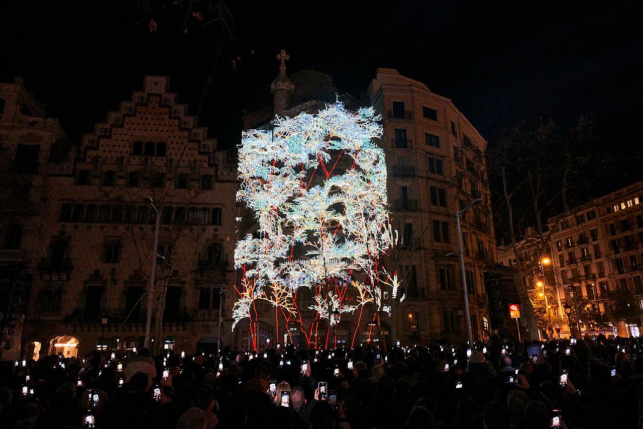 'Mapping' en la Casa Batlló.