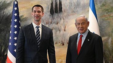 Cotton és Netanjahu