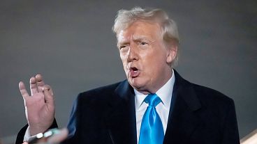 President Donald Trump speaks to reporters next to Air Force One after arriving back at Joint Base Andrews, Md. 2 Feb 2025.