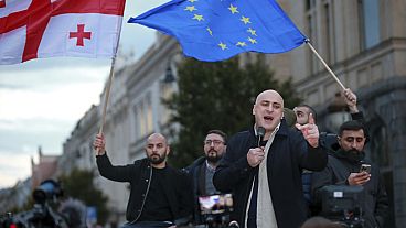 نيكا ميليا، زعيمة التحالف الجورجي من أجل التغيير، تخاطب الحشد في مظاهرة في عام 2024.