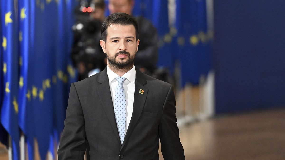 Montenegro pursues values-driven EU enlargement process