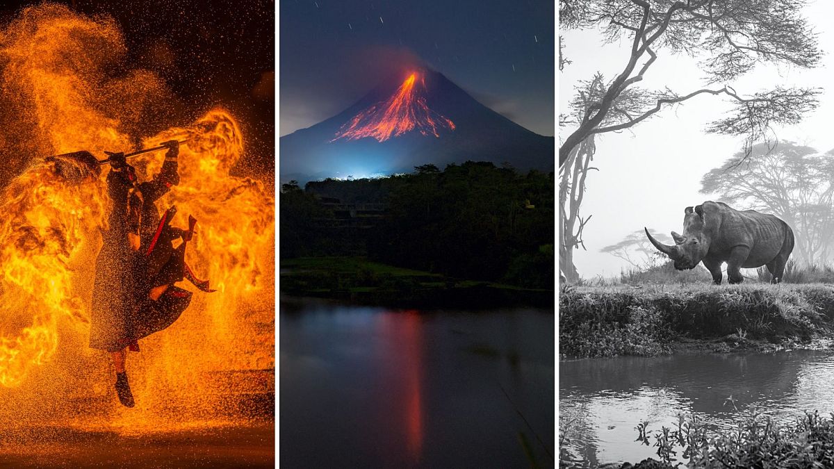 Sony World Photography Awards announce National & Regional winners 