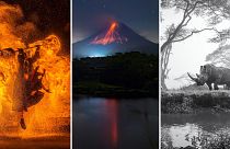 Sony World Photography Awards announce National & Regional winners 