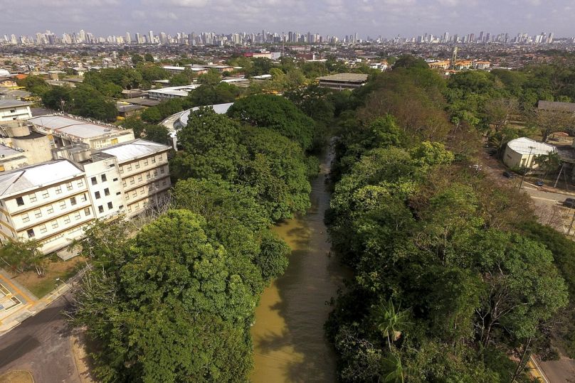  The Tucunduba River flows along the Federal University of Para in Belem, Brazil