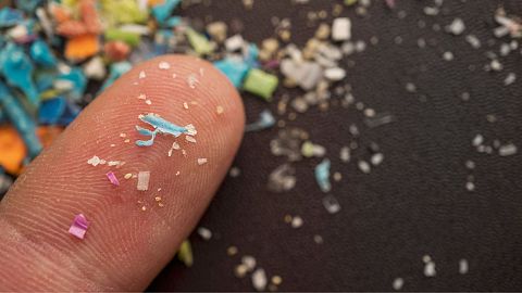 Tiny plastic particles are displayed on the tip of a finger.