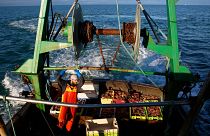 French fisherman tands aboard the trawler Le Chant des Sirenes at the limits of the French-UK waters, off Granville, Normandy.