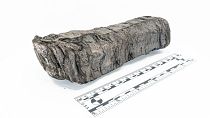 The scroll