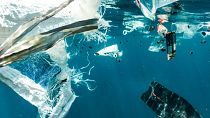 The survey found little demand amongst young people for significant action or accountability from ocean stakeholders.