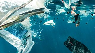 The survey found little demand amongst young people for significant action or accountability from ocean stakeholders.