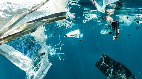 The survey found little demand amongst young people for significant action or accountability from ocean stakeholders.