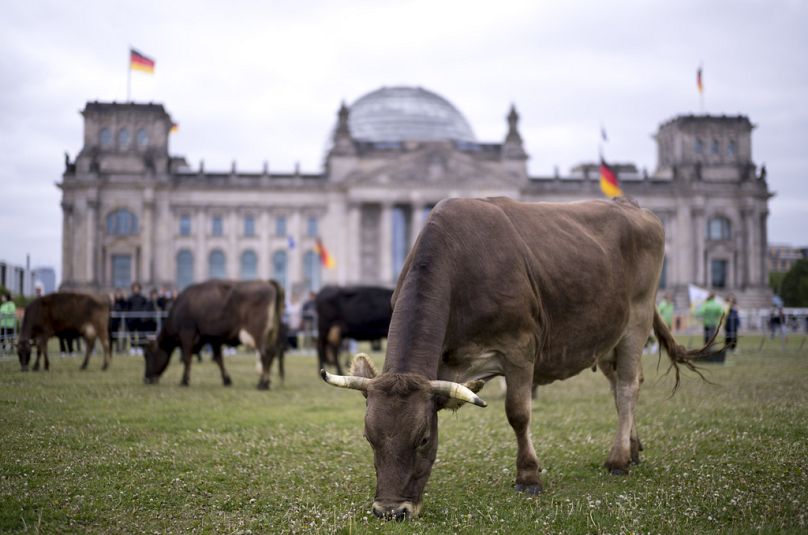 Demonstration der Umweltorganisation Greenpeace für artgerechte Tierhaltung, in Berlin, Deutschland, 16. Mai 2023.