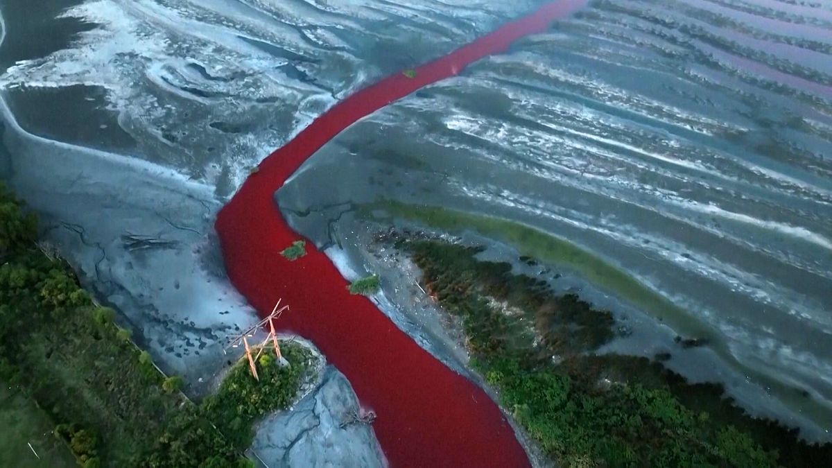 Une rivière rouge vif près de Buenos Aires suscite des craintes de pollution