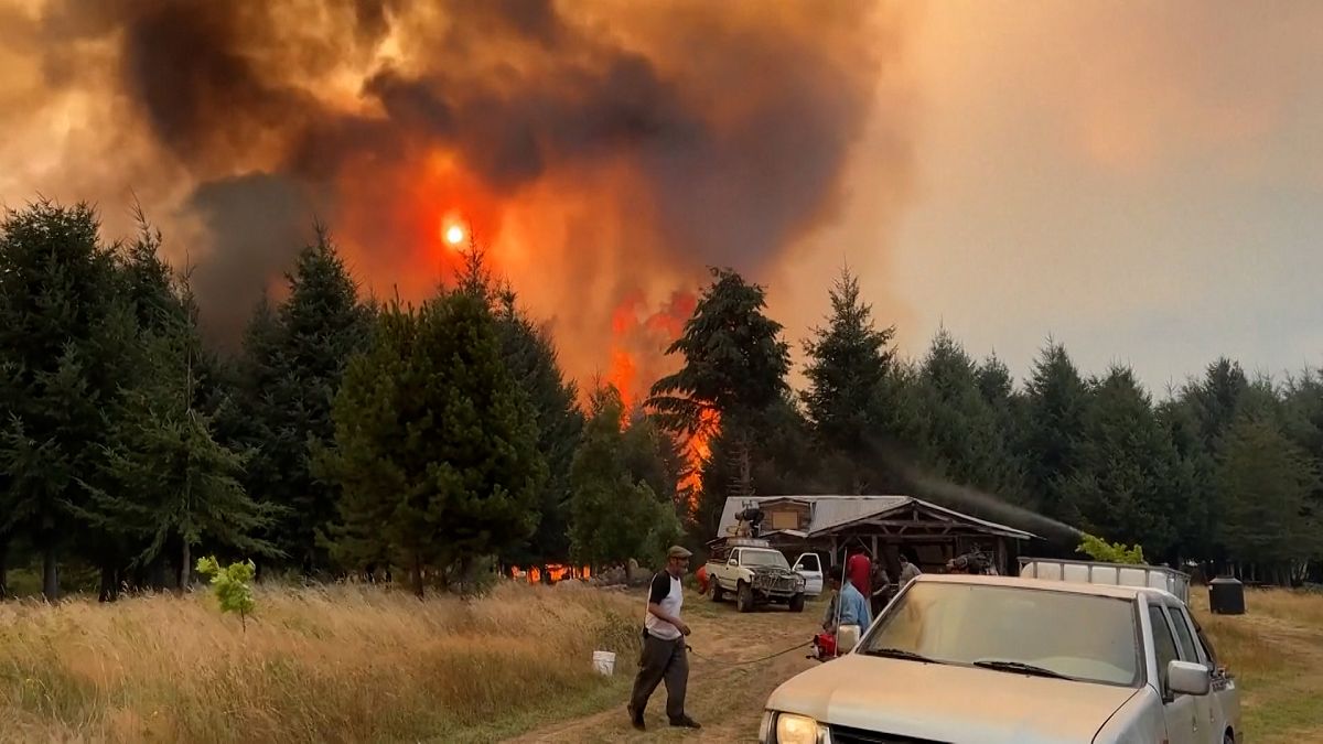 Wildfires devastate Patagonia's forests, threatening El Bolsón