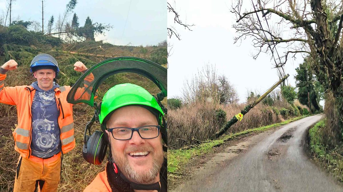 ‘Humans helping humans’: Tree surgeons are the unsung heroes when storms cut off power