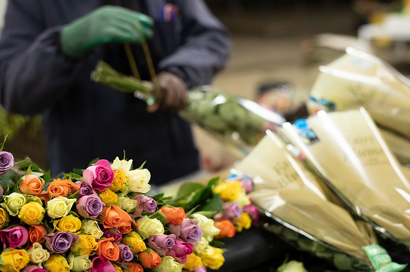 Fairtrade roses are prepared at a flower-growing business in Naivasha, Kenya's main growing zone