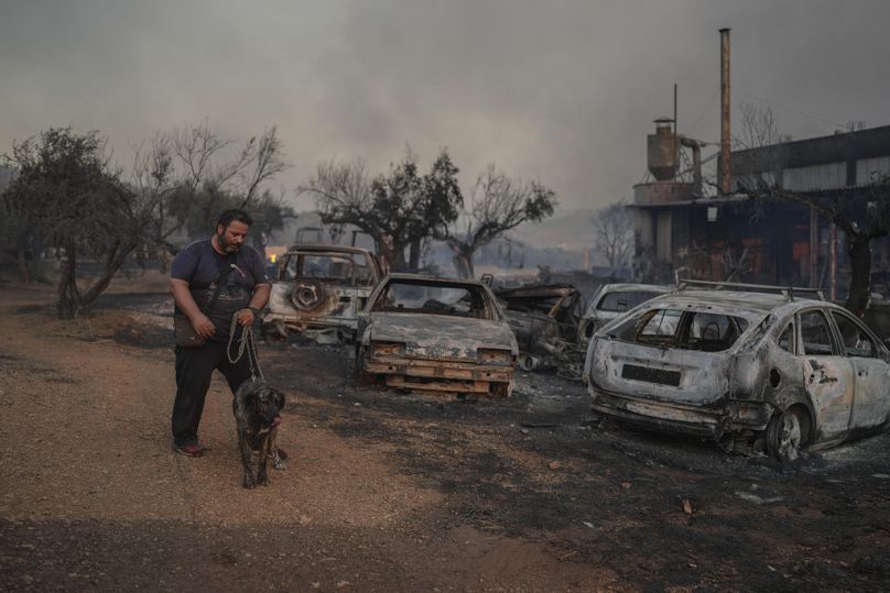 Un homme se promène avec son chien sur le chantier naval familial endommagé par l'incendie à Mandra, à l'ouest d'Athènes.