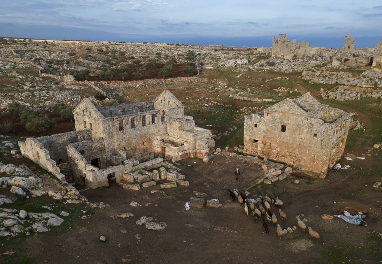 Man herding sheep around the Dead Cities archaeological site on the outskirts of Idlib, Syria.