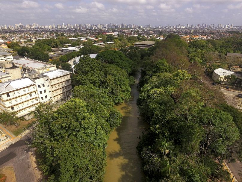 COP30 host city, Belem, is just a few hundred kilometres away from the proposed drilling site. 