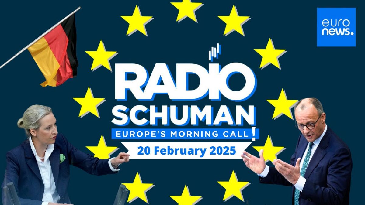Alternative for Germany has sights on power despite firewall - MEP | Radio Schuman