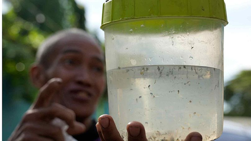 Miguel Labag shows a container with mosquito larvas which he caught outside his house in Mandaluyong city, Philippines, 19 February 2025