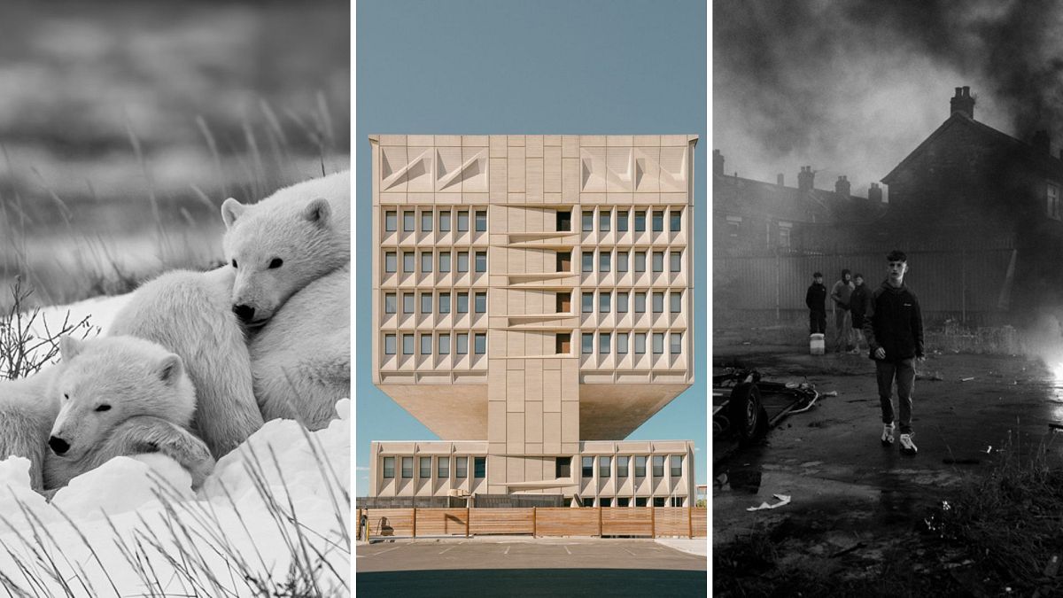 Des ours polaires aux rebelles du skateboard : les finalistes des Sony World Photography Awards 2025 dévoilés